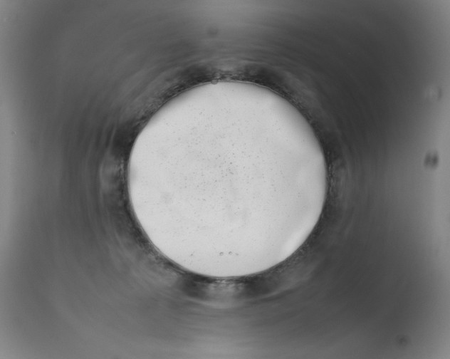 X0000111660225200908071441