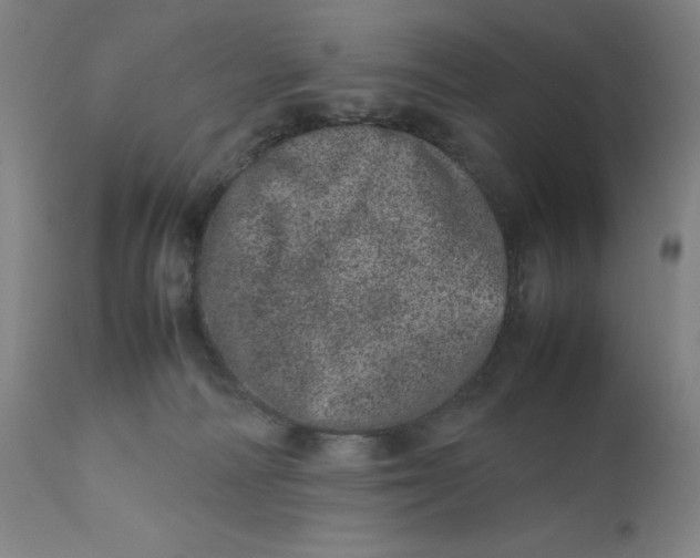 X0000111660226200908071441