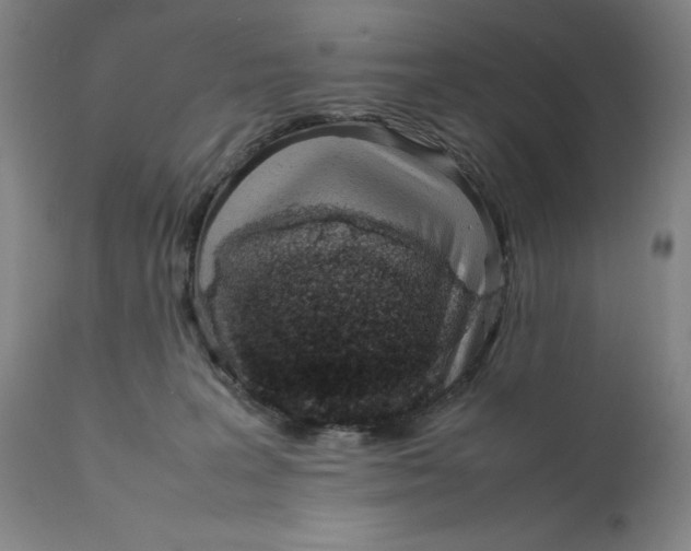 X0000111660227200908071441