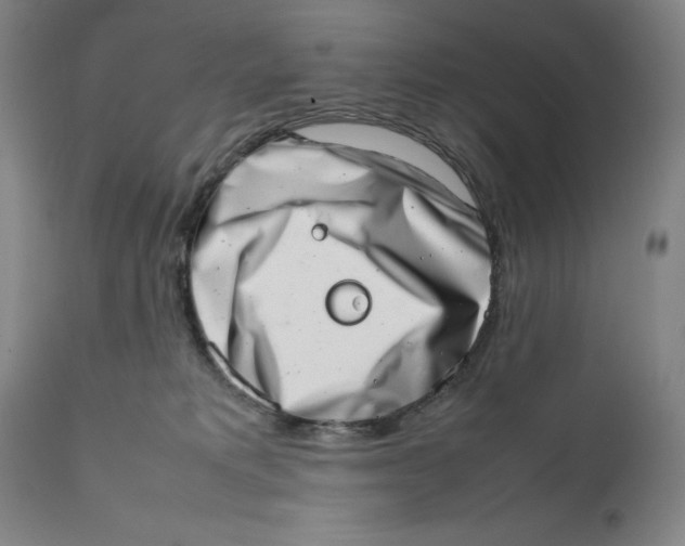 X0000111660229200908071441