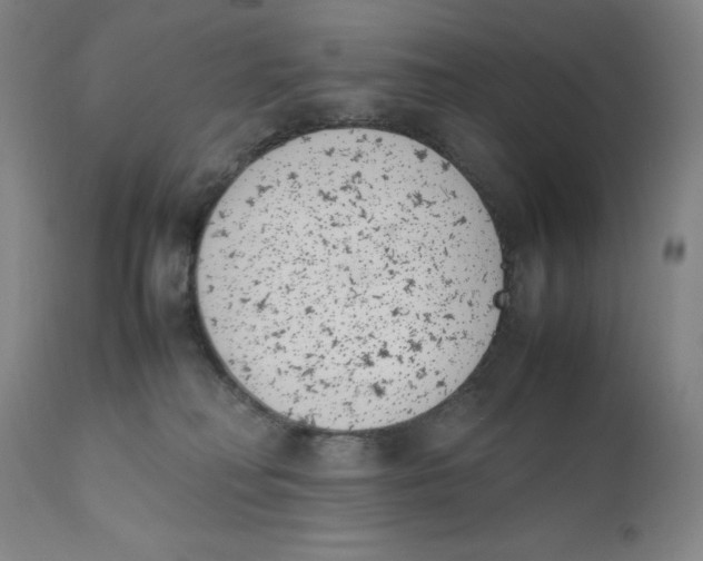 X0000111660230200908071441