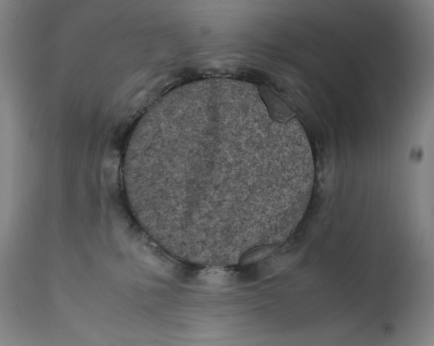 X0000111660231200908071441