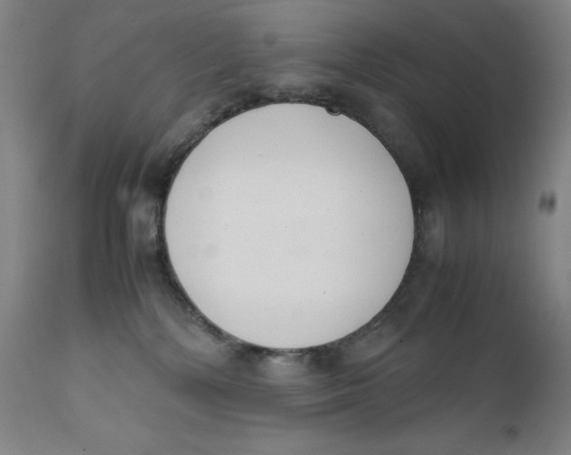 X0000111660232200908071441