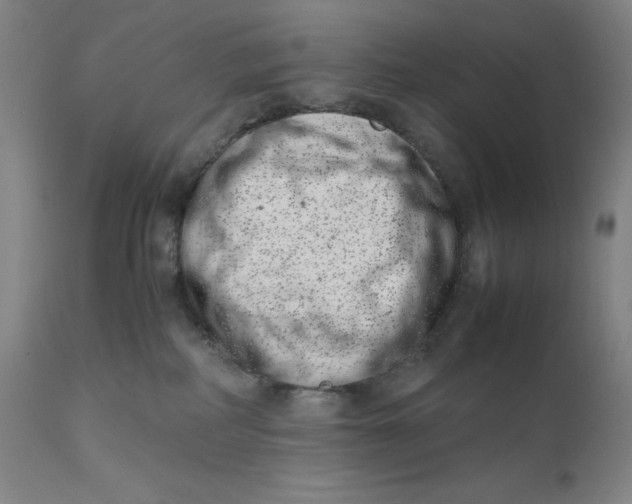 X0000111660234200908071441