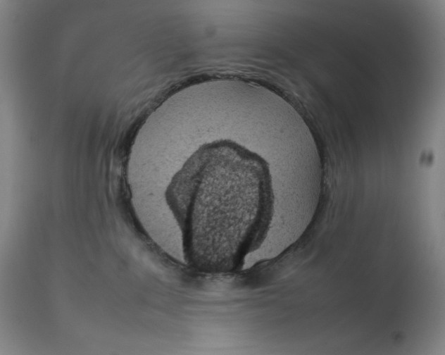 X0000111660235200908071441