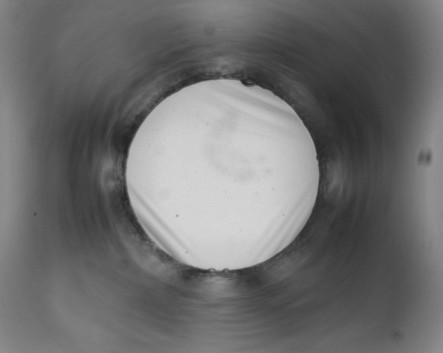 X0000111660236200908071441