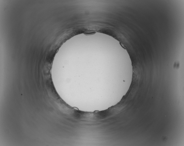 X0000111660237200908071441