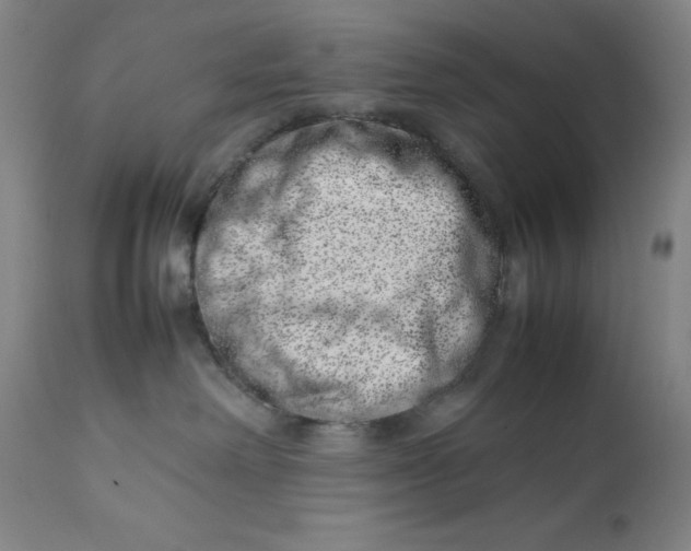 X0000111660238200908071441