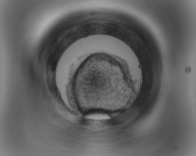 X0000111660239200908071441