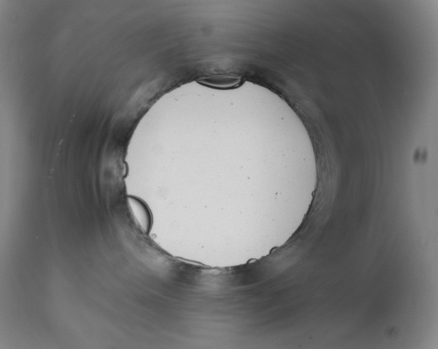 X0000111660240200908071441