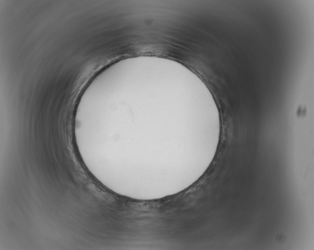 X0000111660241200908071440