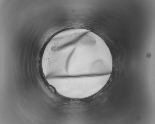 X0000111660242200908071440