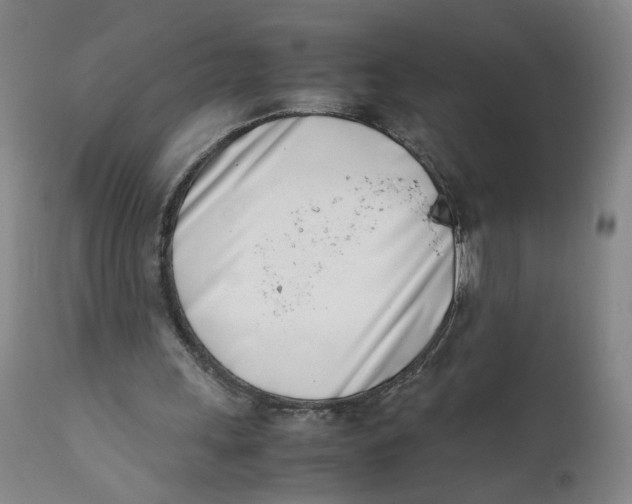 X0000111660243200908071440