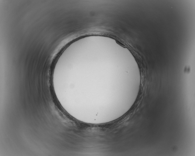 X0000111660244200908071440