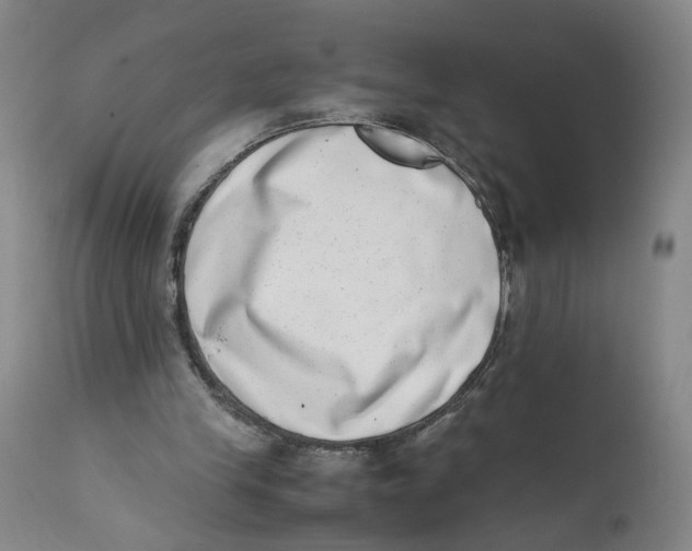 X0000111660245200908071440