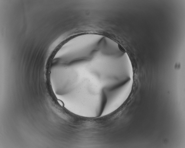 X0000111660246200908071440