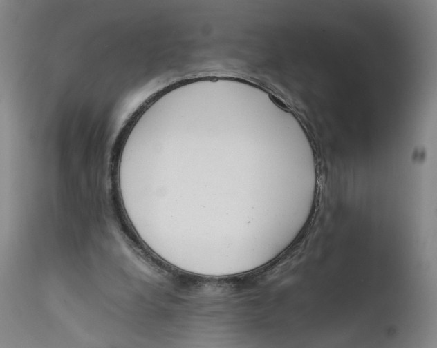 X0000111660248200908071440