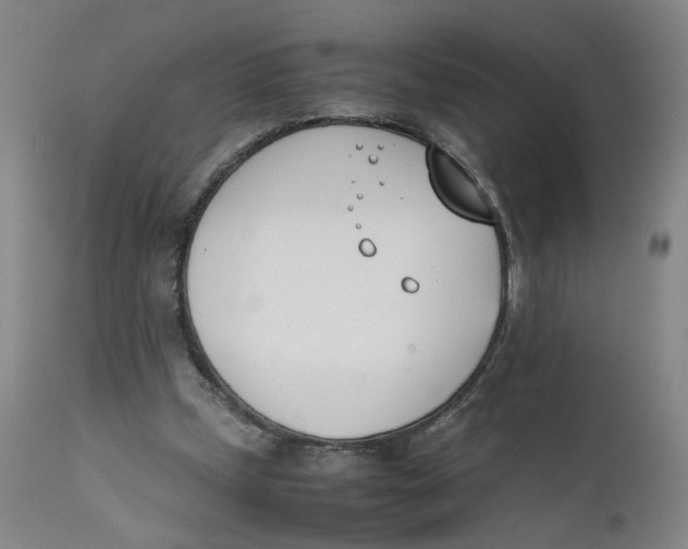 X0000111660249200908071440