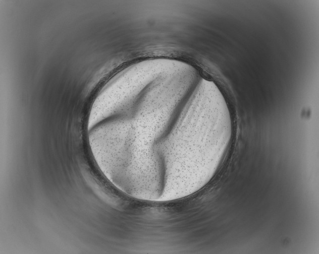 X0000111660250200908071440