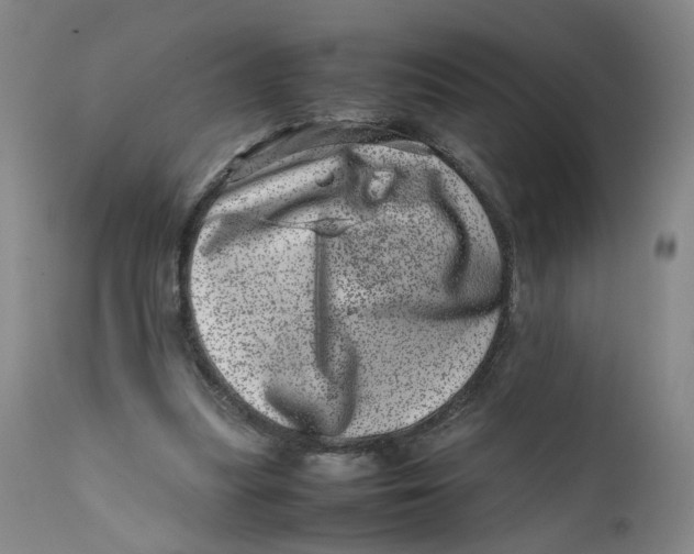 X0000111660251200908071440