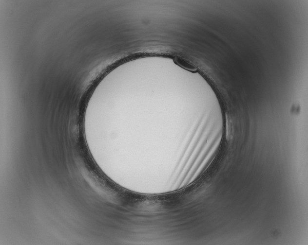 X0000111660252200908071440