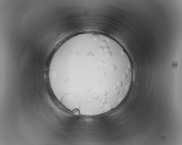 X0000111660253200908071440