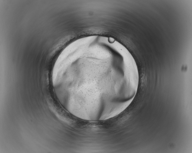 X0000111660254200908071440