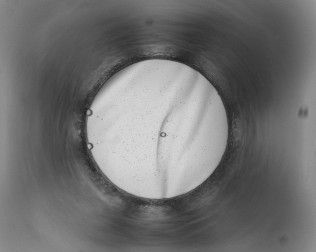 X0000111660255200908071440