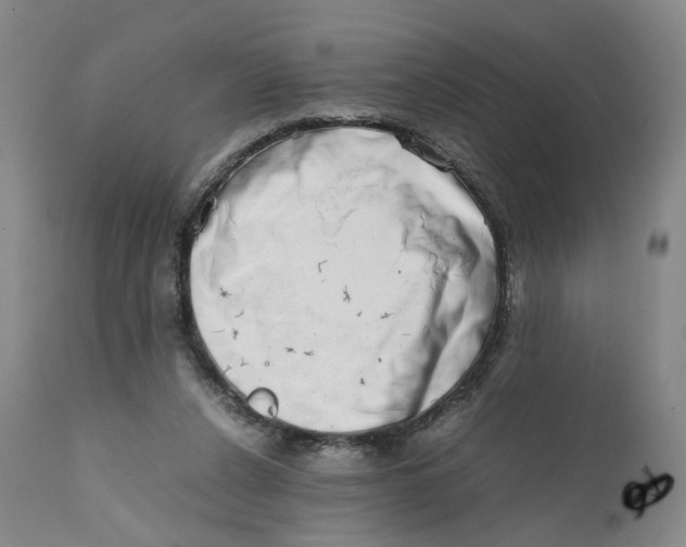 X0000111660256200908071440