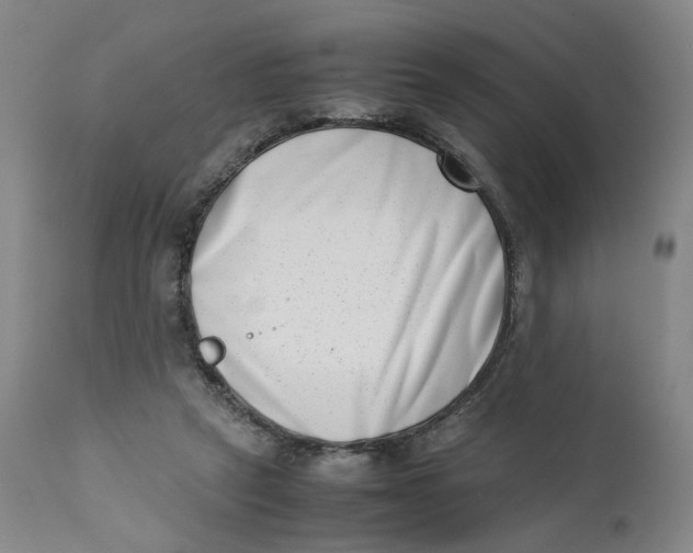 X0000111660257200908071440