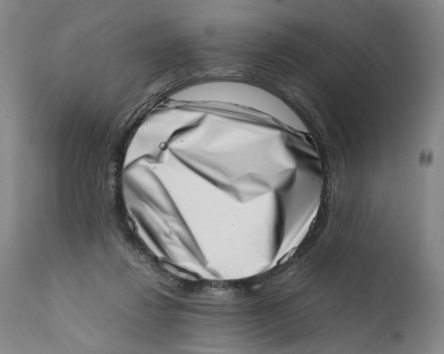 X0000111660260200908071440