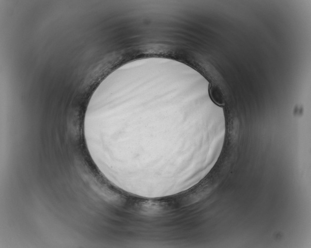 X0000111660261200908071440