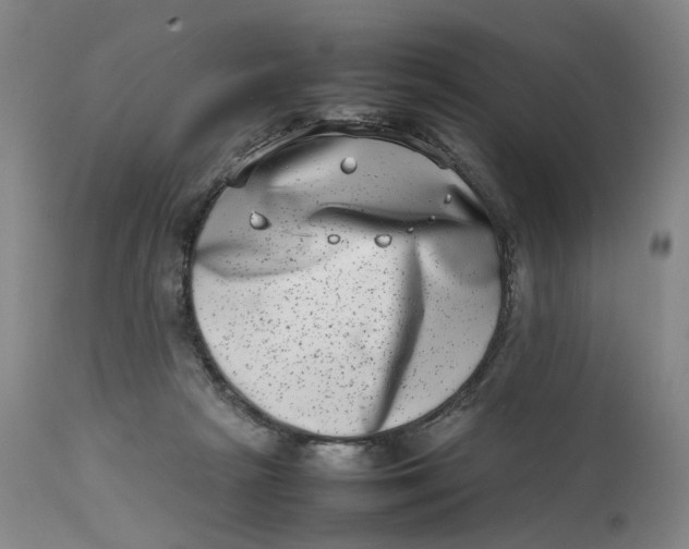 X0000111660265200908071440