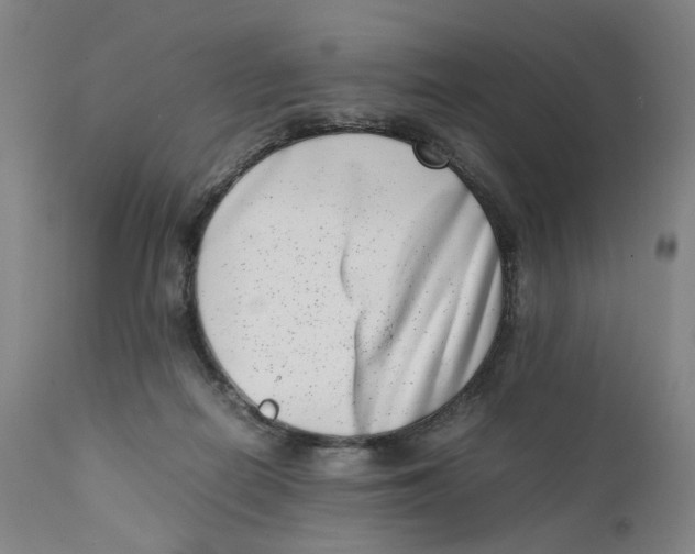 X0000111660266200908071440