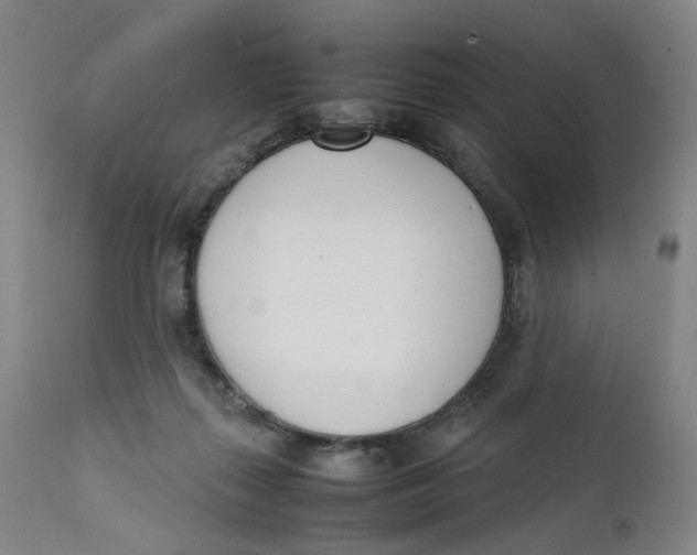 X0000111660267200908071441