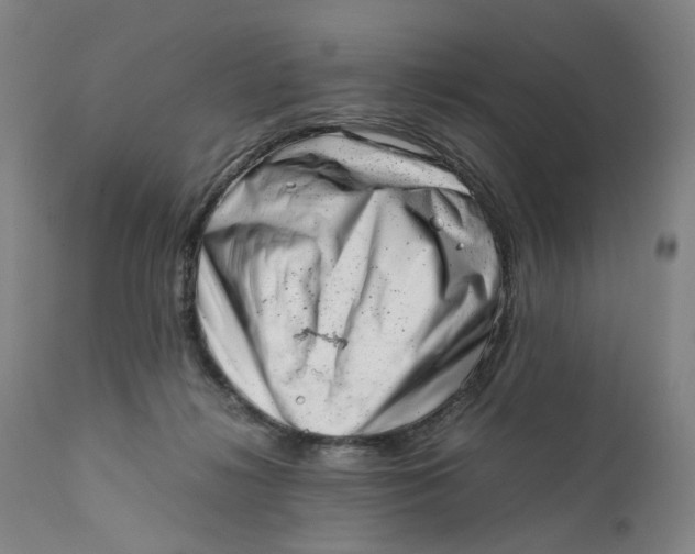 X0000111660268200908071441