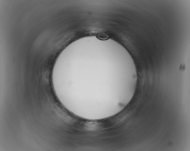 X0000111660269200908071441