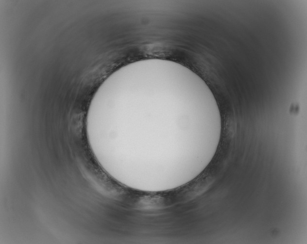 X0000111660271200908071441