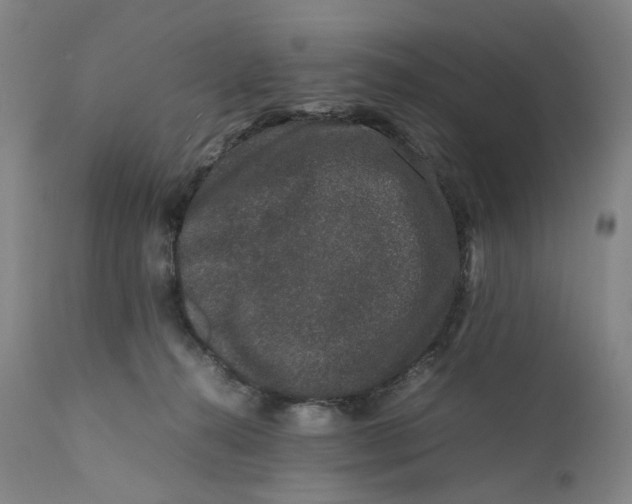 X0000111660272200908071441