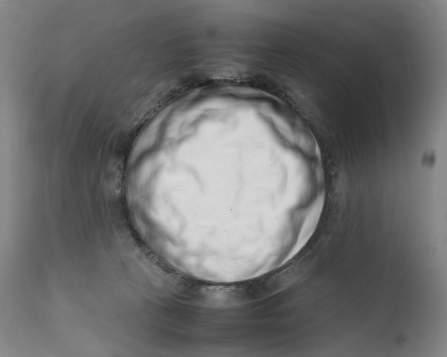 X0000111660273200908071441