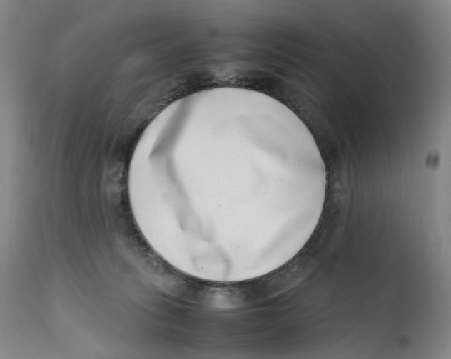 X0000111660275200908071441