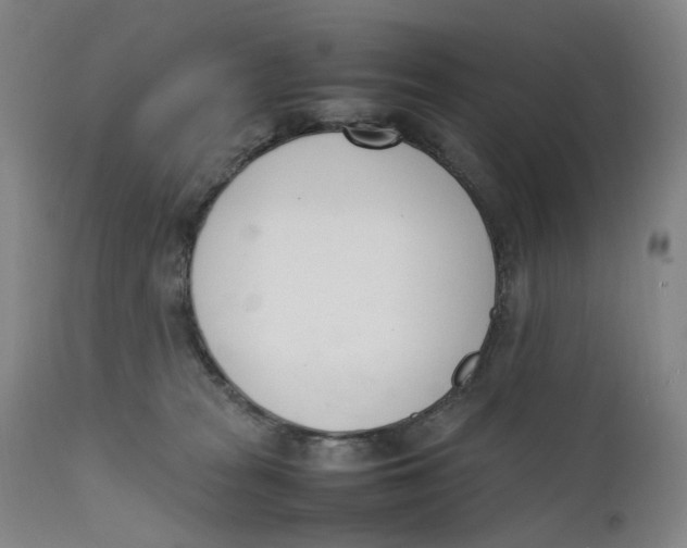 X0000111660277200908071441