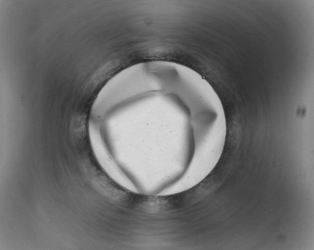 X0000111660278200908071441