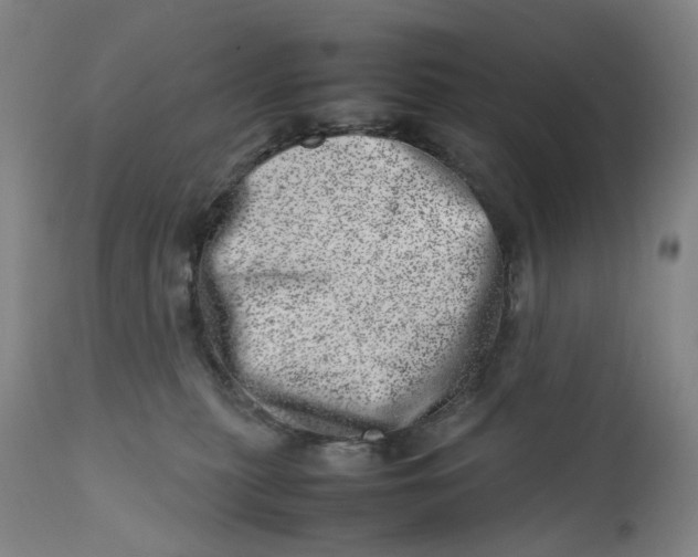 X0000111660279200908071441