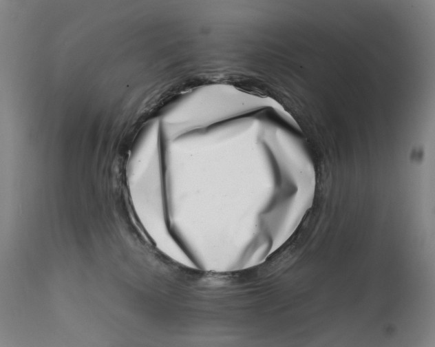 X0000111660280200908071441