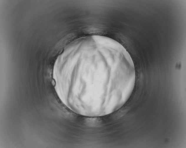 X0000111660281200908071441