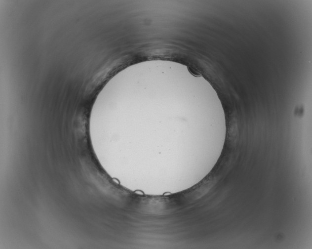 X0000111660282200908071441