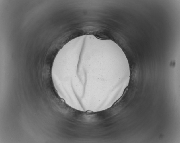 X0000111660283200908071441