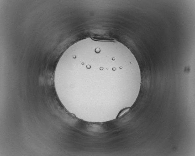 X0000111660285200908071441