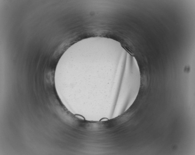 X0000111660286200908071441